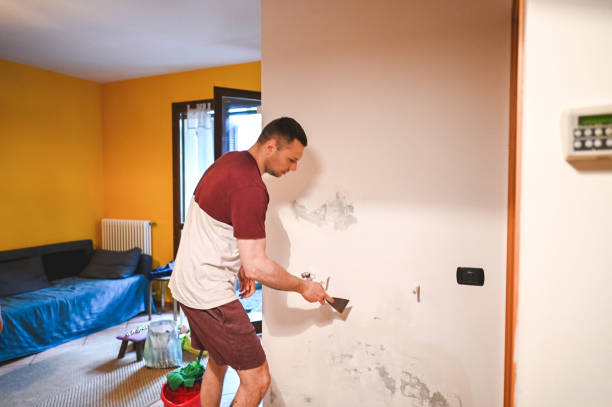 Best Residential Mold Removal  in Mapleton, ND